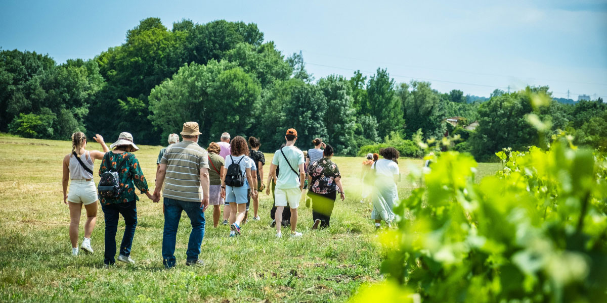 Weinbergbesichtigung halbtags