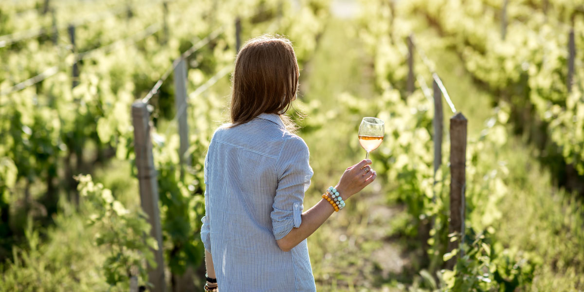 Besichtigung des umweltfreundlichen Weinbergs