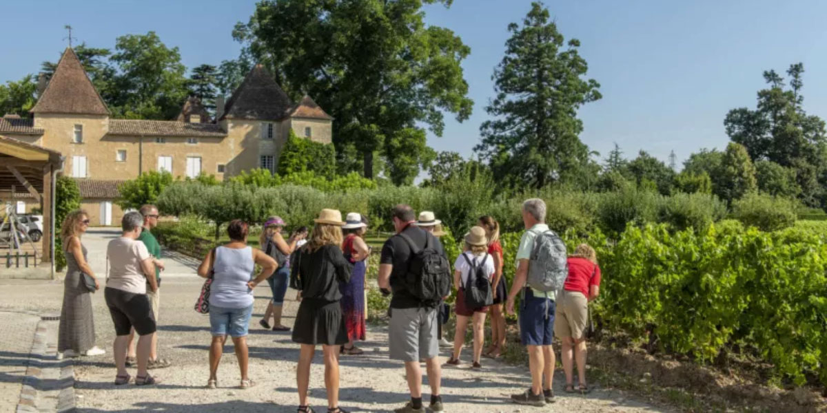 Besuch des Weinbergs