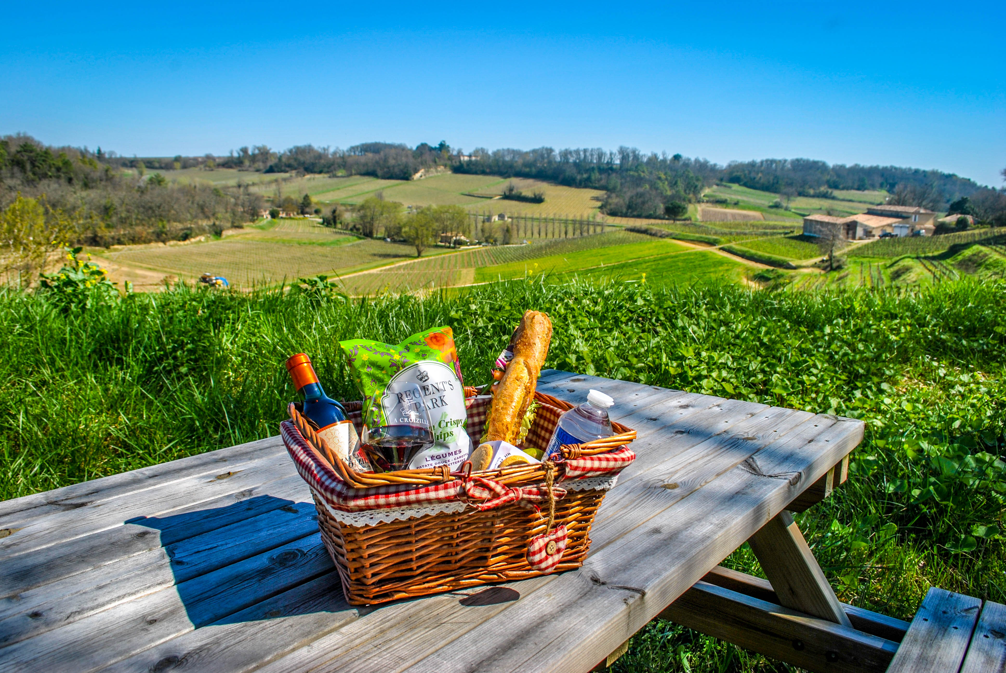 Visit Picnic Chateaux La Croizille Tour Baladoz Saint Emilion Visit Bordeaux