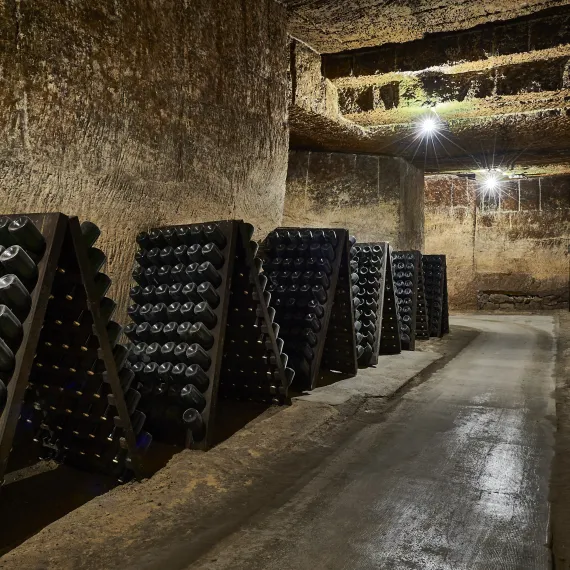 Caves du cloître des Cordeliers @alain_caboche