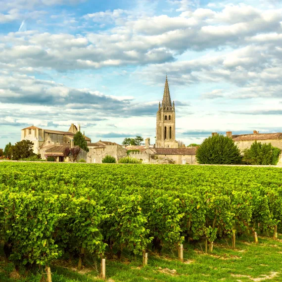 Village de Saint-Emilion vu des vignobles Vignobles de Saint-Emilion