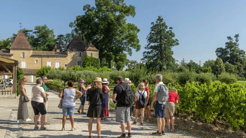 Visiter les vignobles de Bordeaux