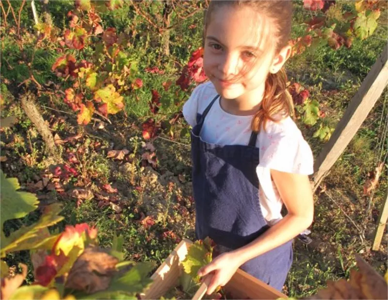 Vignoble en famille