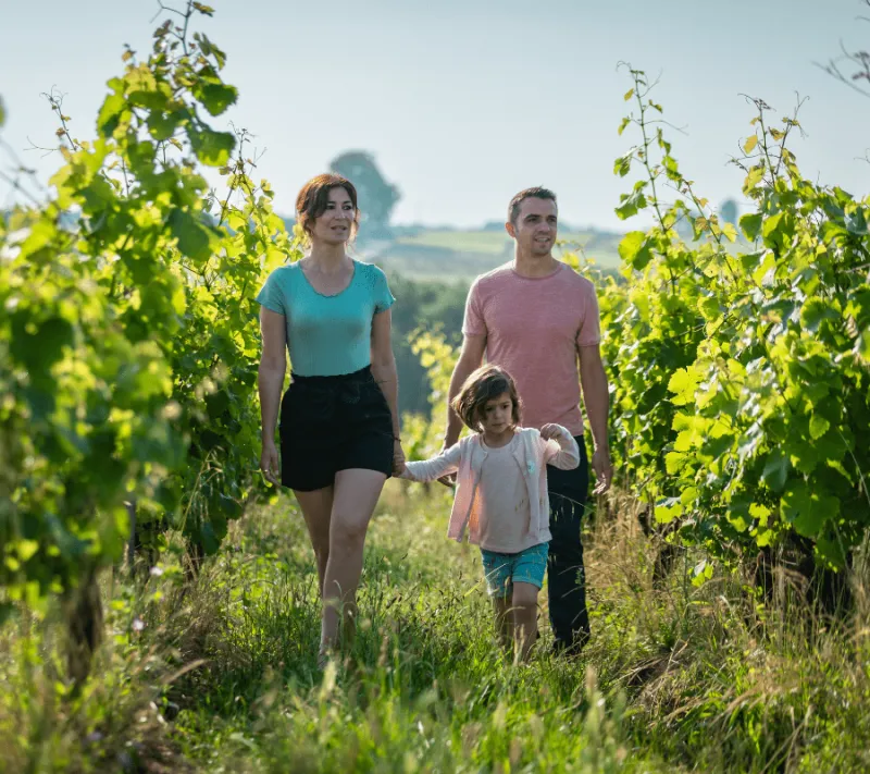 Découvrir le vignoble bordelais avec des enfants