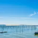 bassin d'arcachon