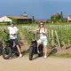 Balade en trottinette électrique dans les vignes du château le Louvière