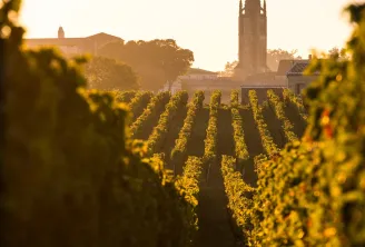 Saint-Emilion Wine and Village - HDM