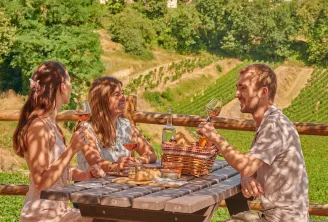 Pique-nique sur la terrasse du Château La Croizille